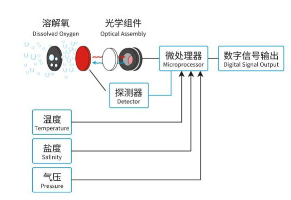 在线荧光法溶氧传感器工作原理